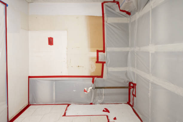 Best HVAC Mold Inspection and Cleaning  in Kekaha, HI
