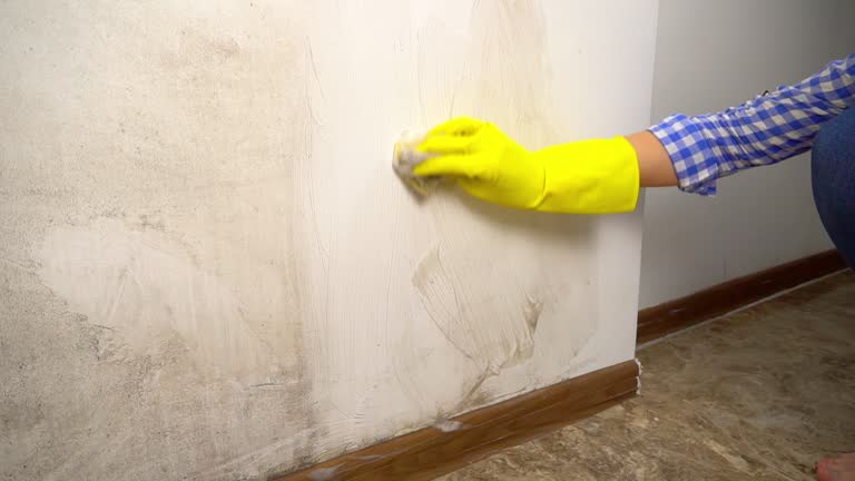 Best Forensic Mold Investigation  in Kekaha, HI