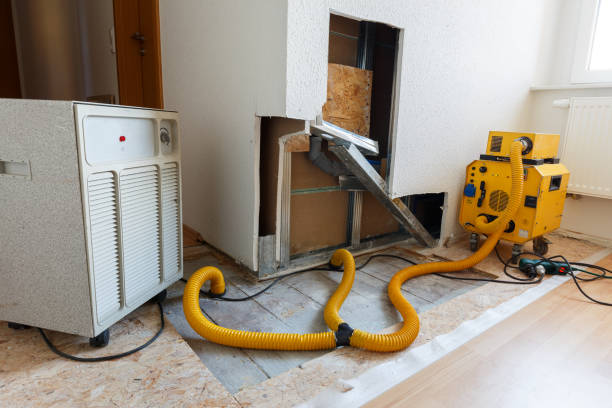 Best Biohazard Mold Removal  in Kekaha, HI