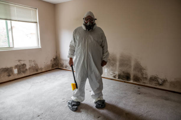 Best Black Mold Removal  in Kekaha, HI