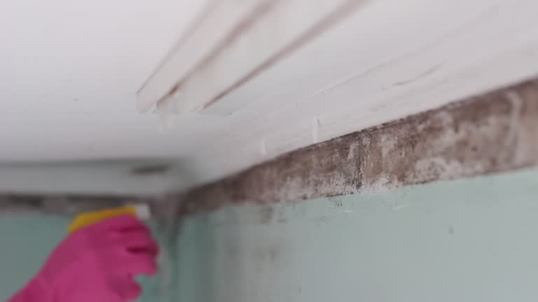 Best Indoor Air Quality Assessment  in Kekaha, HI